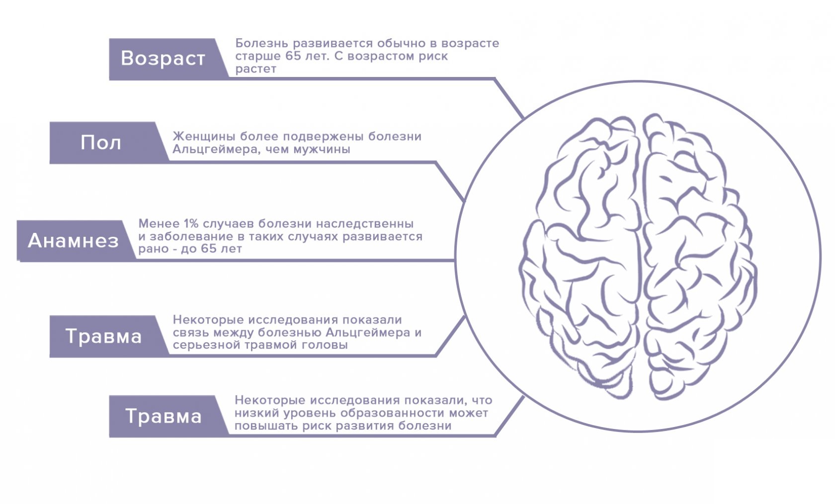 инфографика